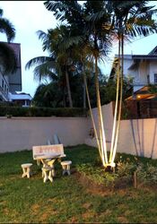 Watten Estate (D11), Detached #476907221